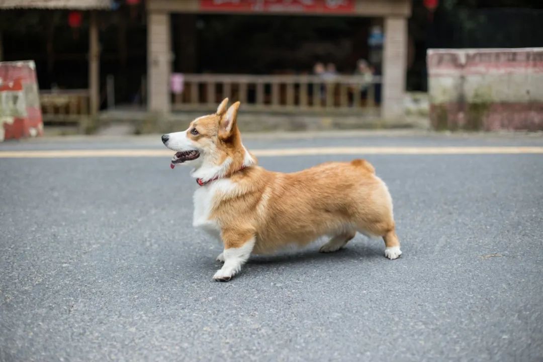 再见，，，，，，我的老朋侪