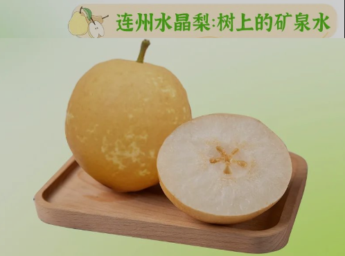 “桃李”酷暑，，，，，清凉一夏