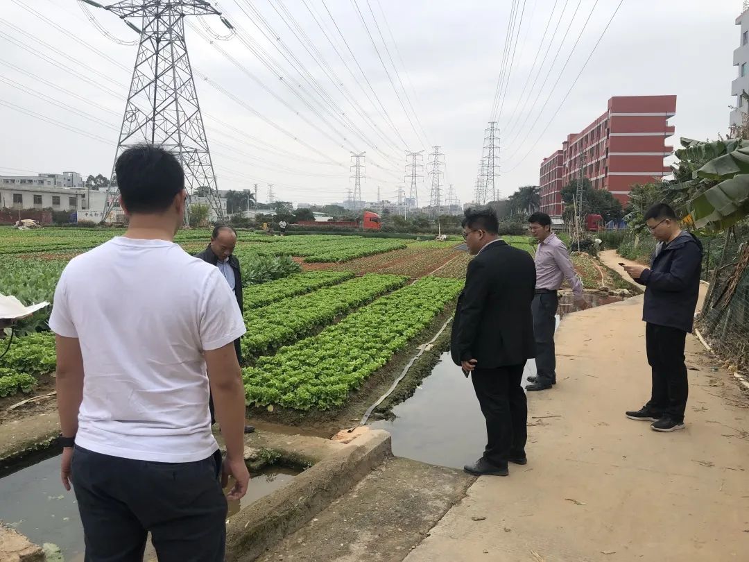 助力墟落振兴，，，，，，，，必发一直在起劲！