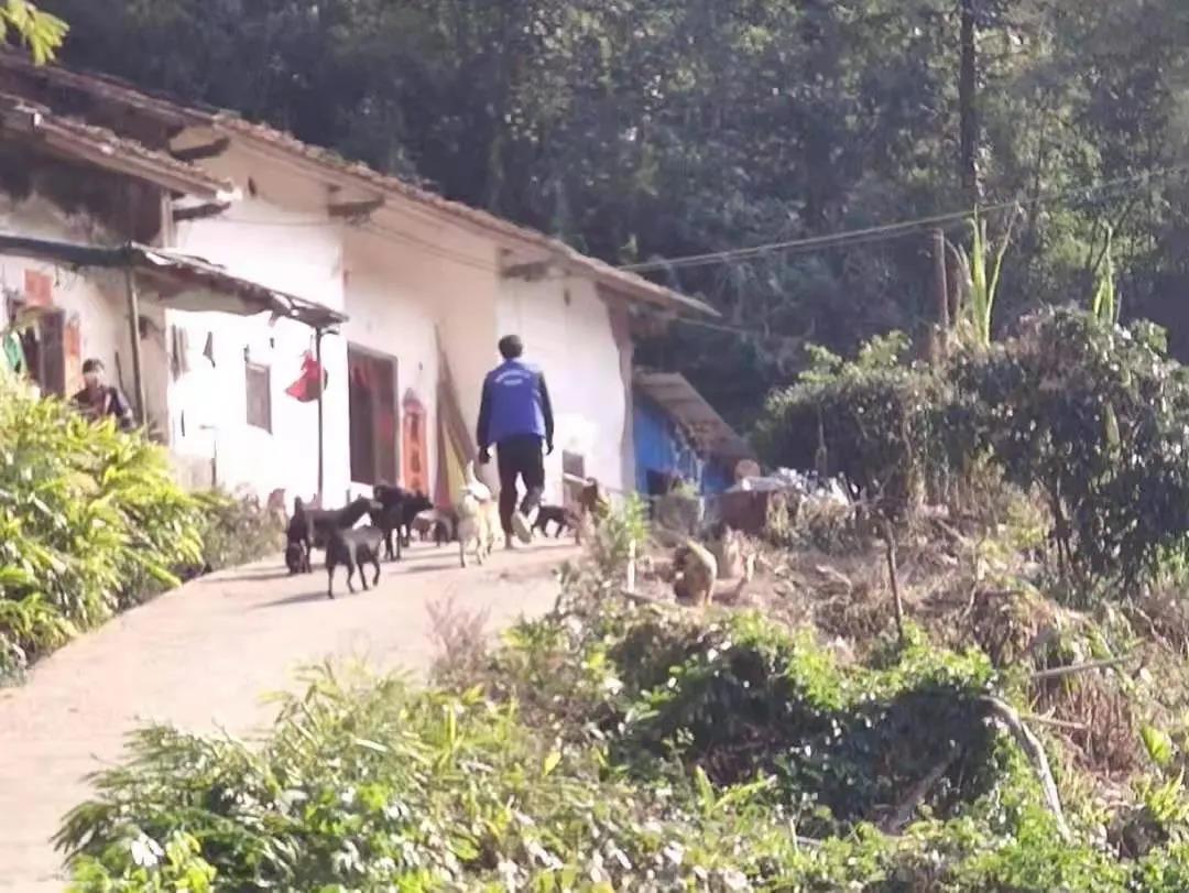 阳春房地一体项目纪实丨无悔青春多砥砺，，，，，，最是斗争感人心