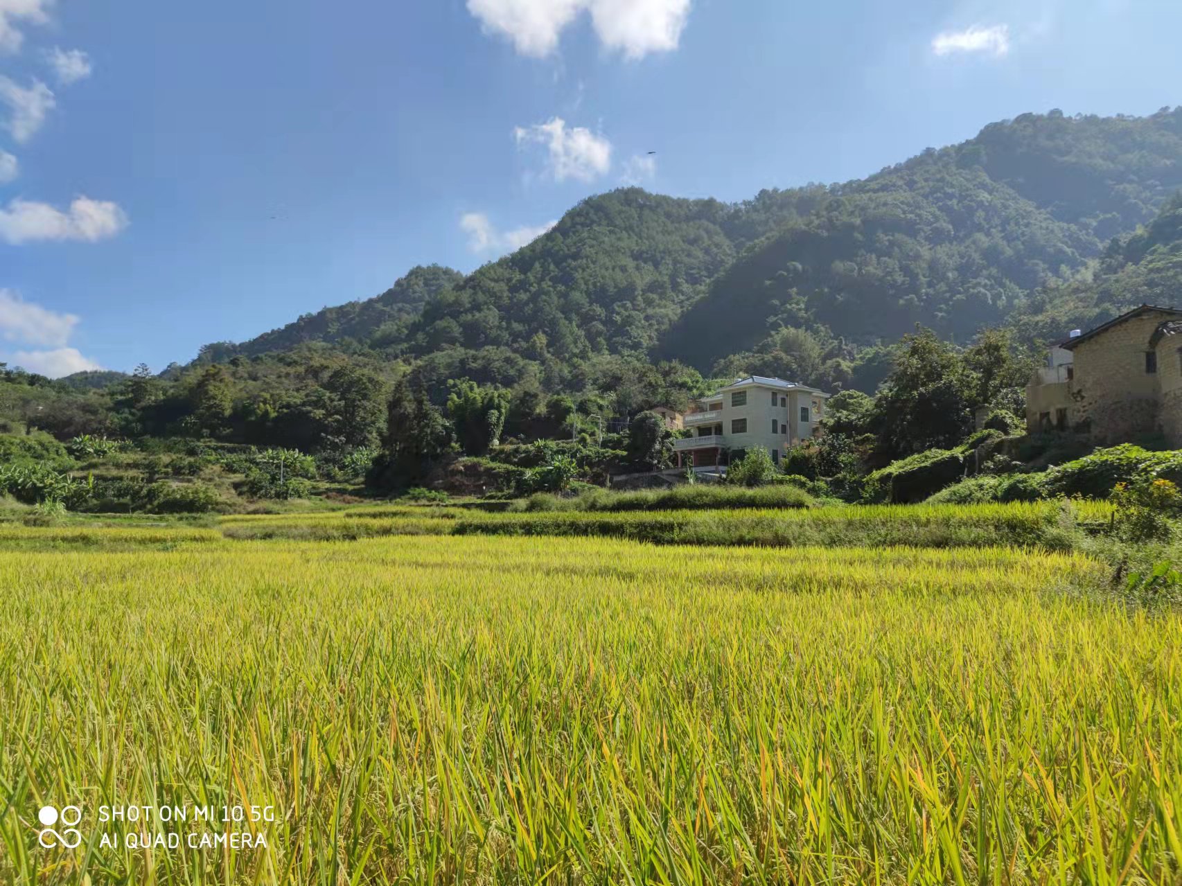 恢复（增补）耕地项目怎么干？？？？？必发有话说