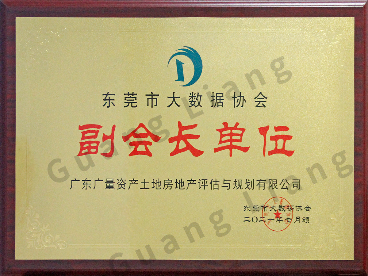 东莞市大数据协会