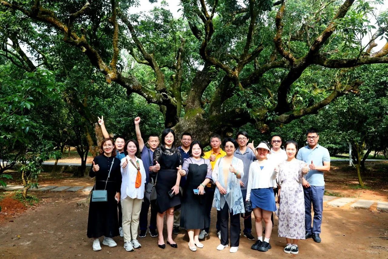 必发集团作为省领土空间生态修复协会轮值会长带队调研粤西全域土地综合整治事情