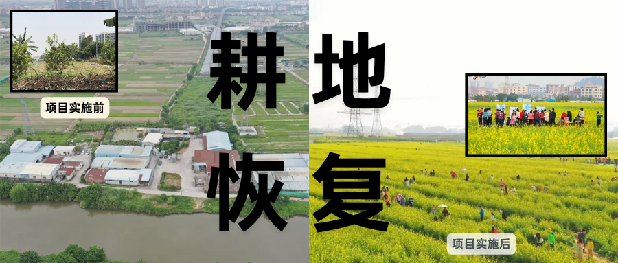 耕地；；；；；び刖蒙す踩凇甘泻窠终蛩谏缜读继锵钅扛鼗指从氤窍缛诤系牧⒁焓导